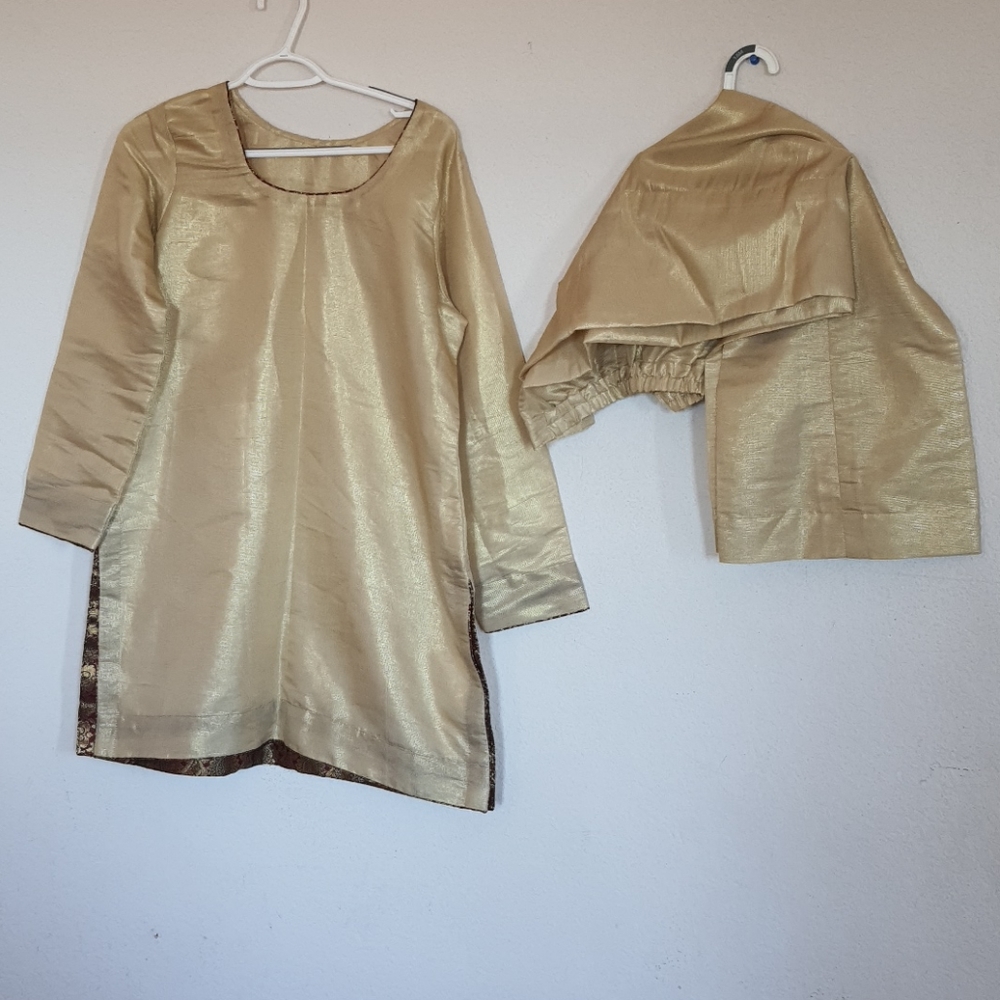 Organza suit. Pakistani indian